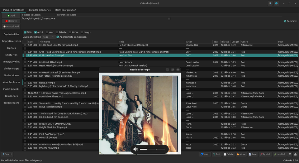 Czkawka: Hidden Files Taking Up Space? This Free App Reclaims GBs Instantly!