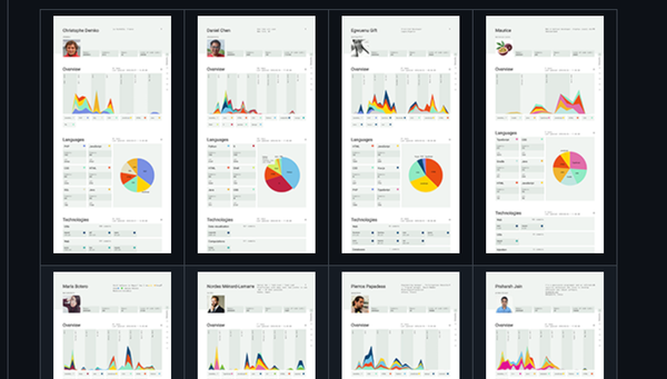 Sourcerer: Make a Fancy Visual Profile from your GitHub!